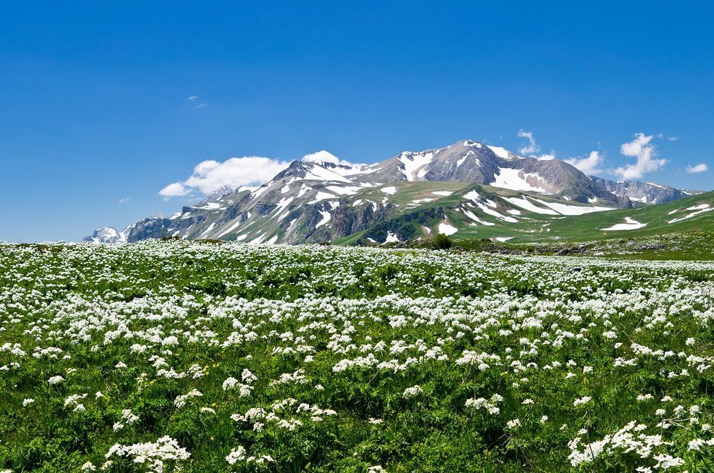 Адыгея в мае фото