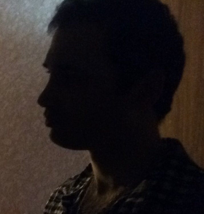Brain 42